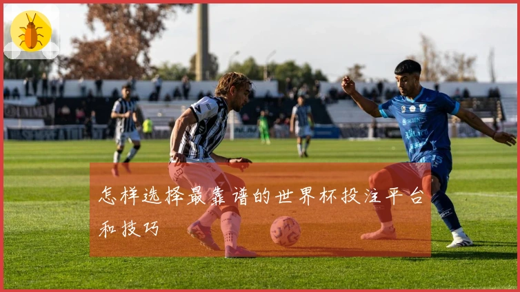 怎样选择最靠谱的世界杯投注平台和技巧