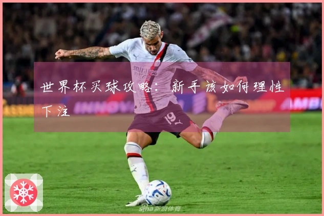 世界杯买球攻略：新手该如何理性下注