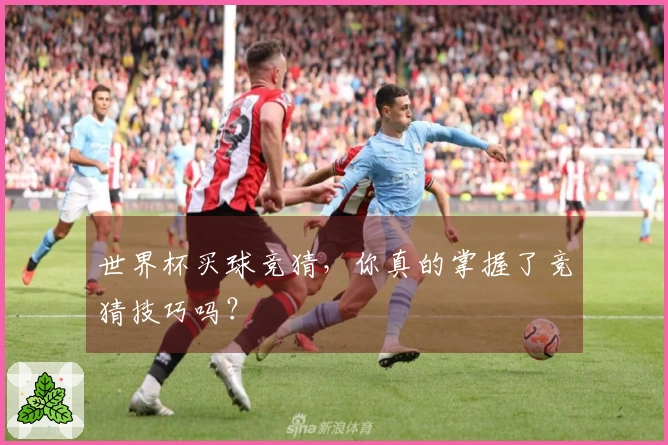 世界杯买球竞猜，你真的掌握了竞猜技巧吗？