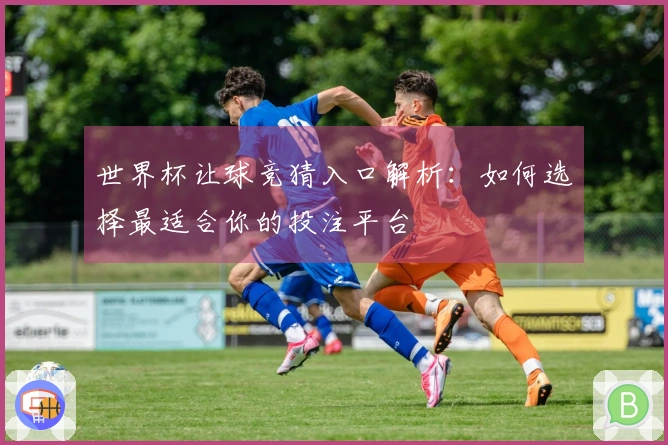 世界杯让球竞猜入口解析：如何选择最适合你的投注平台