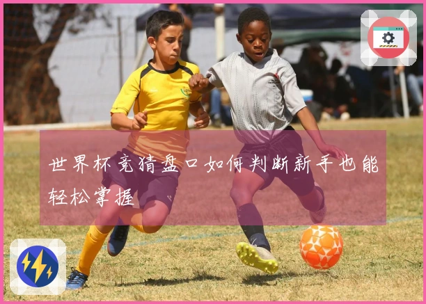 世界杯竞猜盘口如何判断新手也能轻松掌握