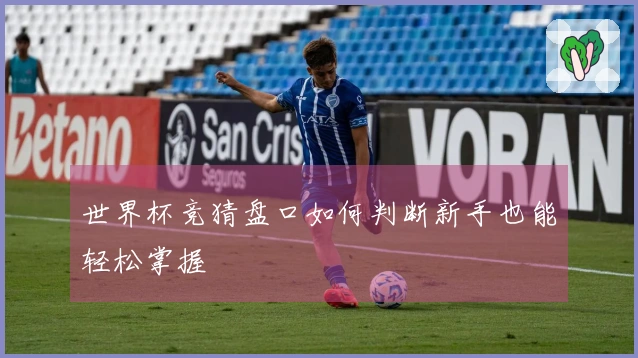 世界杯竞猜盘口如何判断新手也能轻松掌握